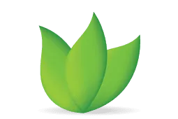 Safe, All Natural Oils