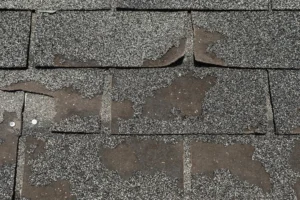 Close-up of asphalt shingle granule loss on residential roof