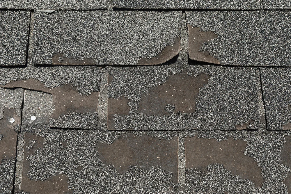 Close-up of asphalt shingle granule loss on residential roof