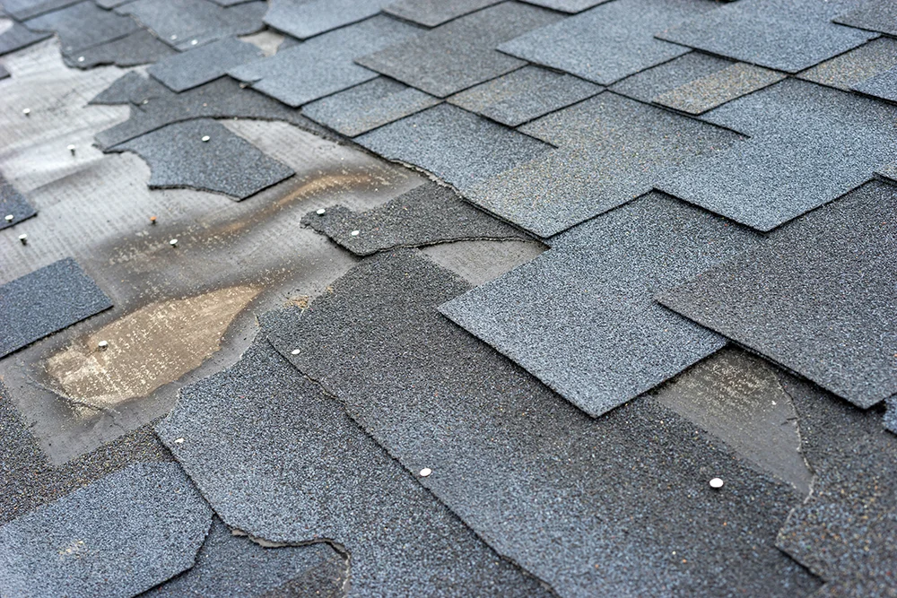 Damaged asphalt shingles after years of intense wear and tear.