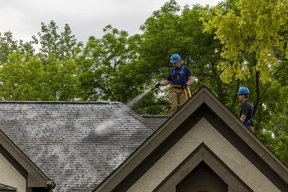 Plant-based roof rejuvenation treatment applied during fall